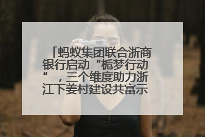 蚂蚁集团联合浙商银行启动“栀梦行动”，三个维度助力浙江下姜村建设共富示范区示范点