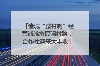 诸城“整村制”经营铺就富民强村路，合作社迎来大丰收