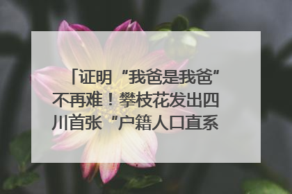 证明“我爸是我爸”不再难！攀枝花发出四川首张“户籍人口直系亲属关系谱”