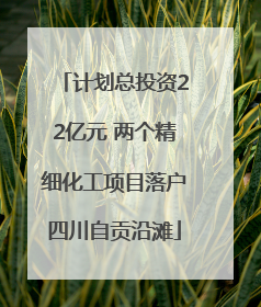计划总投资22亿元 两个精细化工项目落户四川自贡沿滩