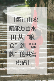 衢江山农赋能万亩水田 从“粮仓”到“品牌”的共富密码