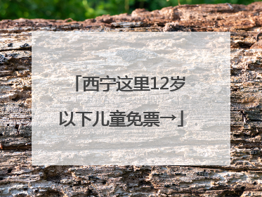 西宁这里12岁以下儿童免票→