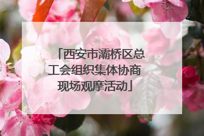 西安市灞桥区总工会组织集体协商现场观摩活动