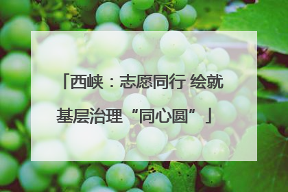 西峡：志愿同行 绘就基层治理“同心圆”