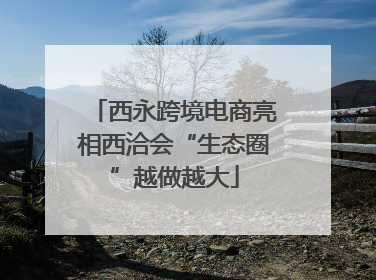 西永跨境电商亮相西洽会“生态圈”越做越大