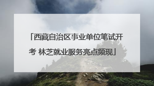 西藏自治区事业单位笔试开考 林芝就业服务亮点频现