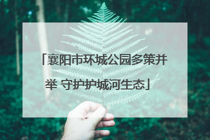 襄阳市环城公园多策并举 守护护城河生态