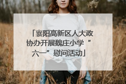 襄阳高新区人大政协办开展魏庄小学“六一”慰问活动