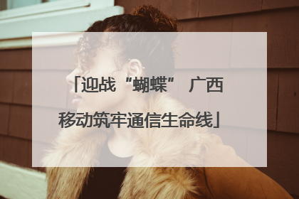 迎战“蝴蝶” 广西移动筑牢通信生命线
