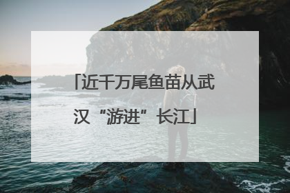 近千万尾鱼苗从武汉“游进”长江