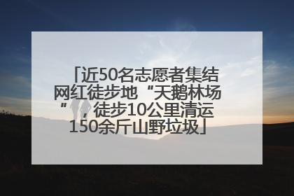 近50名志愿者集结网红徒步地“天鹅林场”，徒步10公里清运150余斤山野垃圾