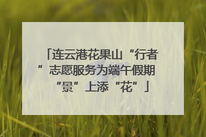 连云港花果山“行者”志愿服务为端午假期“景”上添“花”