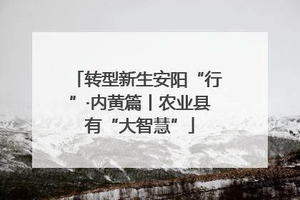 转型新生安阳“行”·内黄篇丨农业县有“大智慧”