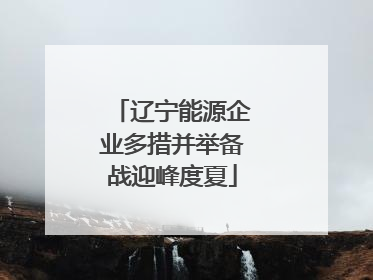 辽宁能源企业多措并举备战迎峰度夏