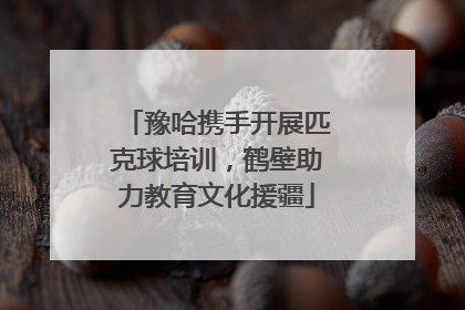 豫哈携手开展匹克球培训，鹤壁助力教育文化援疆