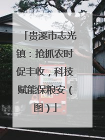 贵溪市志光镇：抢抓农时促丰收，科技赋能保粮安（图）
