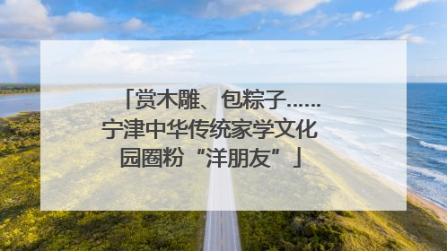 赏木雕、包粽子……宁津中华传统家学文化园圈粉“洋朋友”