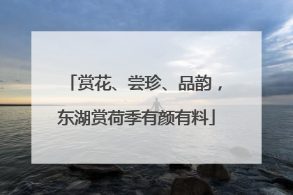 赏花、尝珍、品韵，东湖赏荷季有颜有料