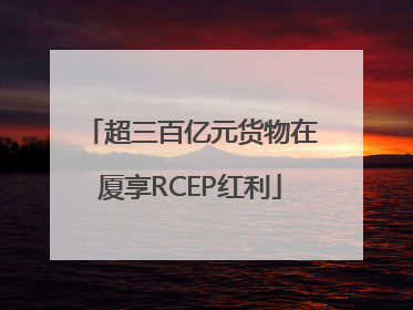 超三百亿元货物在厦享RCEP红利