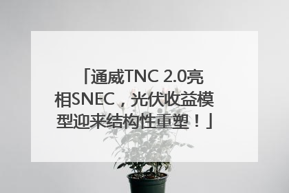 通威TNC 2.0亮相SNEC，光伏收益模型迎来结构性重塑！