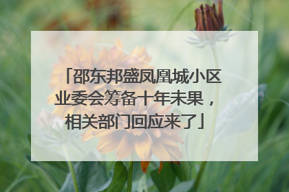 邵东邦盛凤凰城小区业委会筹备十年未果，相关部门回应来了