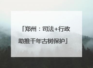 郑州：司法+行政助推千年古树保护
