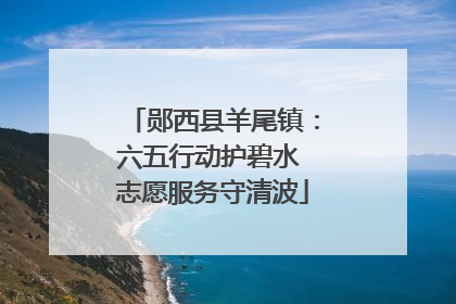 郧西县羊尾镇：六五行动护碧水 志愿服务守清波