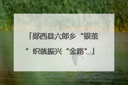 郧西县六郎乡“银茧”织就振兴“金路”