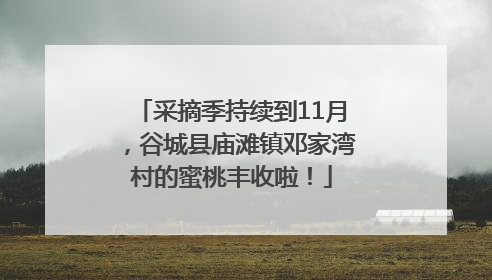 采摘季持续到11月，谷城县庙滩镇邓家湾村的蜜桃丰收啦！