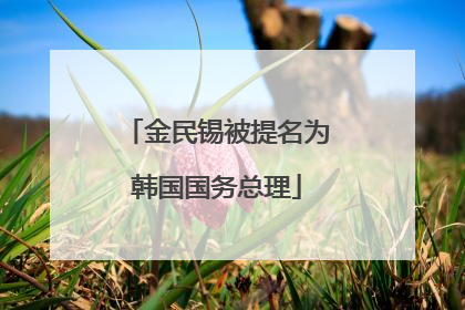 金民锡被提名为韩国国务总理