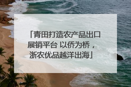 青田打造农产品出口展销平台 以侨为桥，浙农优品越洋出海