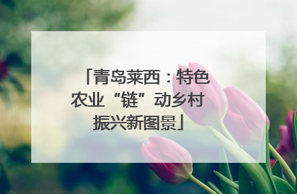 青岛莱西：特色农业“链”动乡村振兴新图景