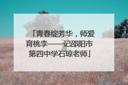 青春绽芳华，师爱育桃李——记邵阳市第四中学石琼老师