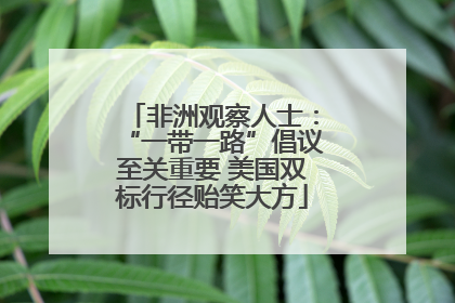 非洲观察人士：“一带一路”倡议至关重要 美国双标行径贻笑大方