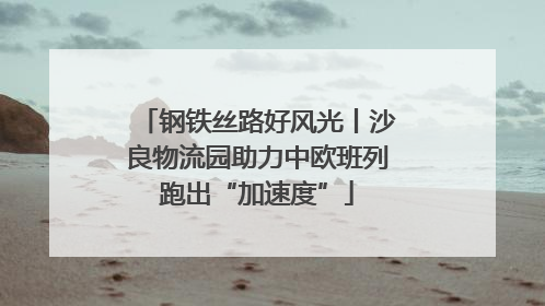 钢铁丝路好风光丨沙良物流园助力中欧班列跑出“加速度”