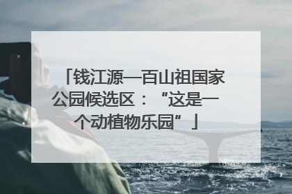 钱江源—百山祖国家公园候选区：“这是一个动植物乐园”