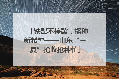 铁犁不停歇，播种新希望——山东“三夏”抢收抢种忙