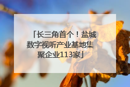 长三角首个！盐城数字视听产业基地集聚企业113家
