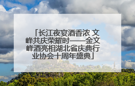 长江夜宴酒香浓 文峰共庆荣耀时——金文峰酒亮相湖北省庆典行业协会十周年盛典