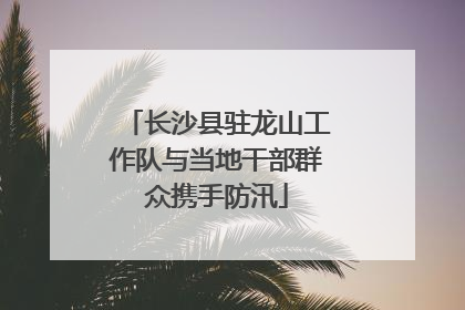 长沙县驻龙山工作队与当地干部群众携手防汛