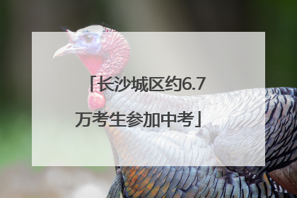 长沙城区约6.7万考生参加中考