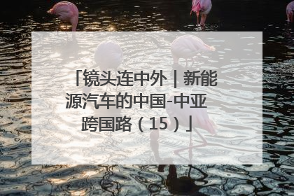 镜头连中外｜新能源汽车的中国-中亚跨国路（15）