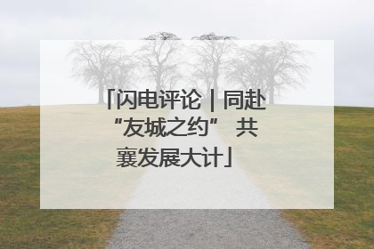 闪电评论｜同赴“友城之约” 共襄发展大计