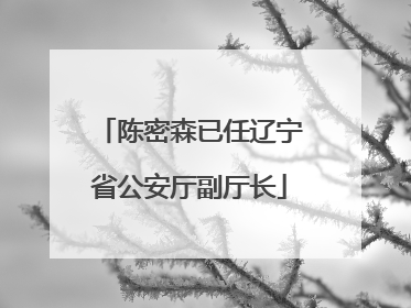 陈密森已任辽宁省公安厅副厅长