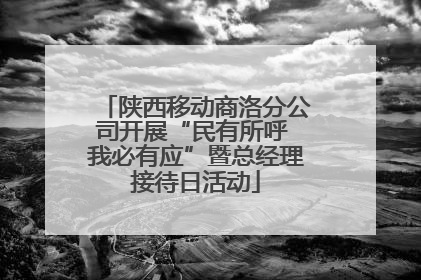 陕西移动商洛分公司开展“民有所呼 我必有应”暨总经理接待日活动