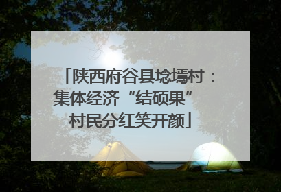 陕西府谷县埝墕村：集体经济“结硕果” 村民分红笑开颜