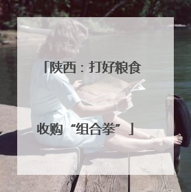 陕西：打好粮食收购“组合拳”