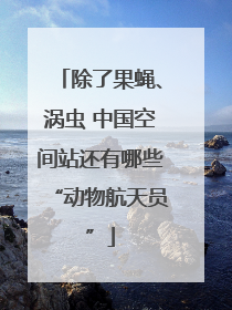 除了果蝇、涡虫 中国空间站还有哪些“动物航天员”