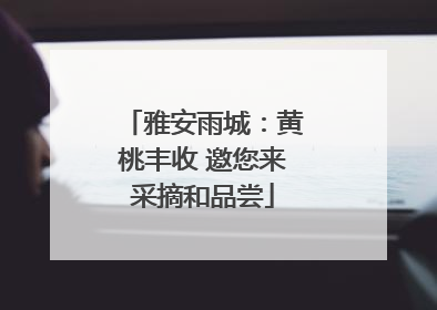 雅安雨城：黄桃丰收 邀您来采摘和品尝
