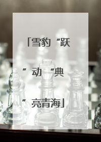 雪豹“跃”动 “典”亮青海